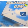 AVION B-2 BOMBER INDOR