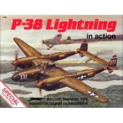 P38 LIGHTNIKS