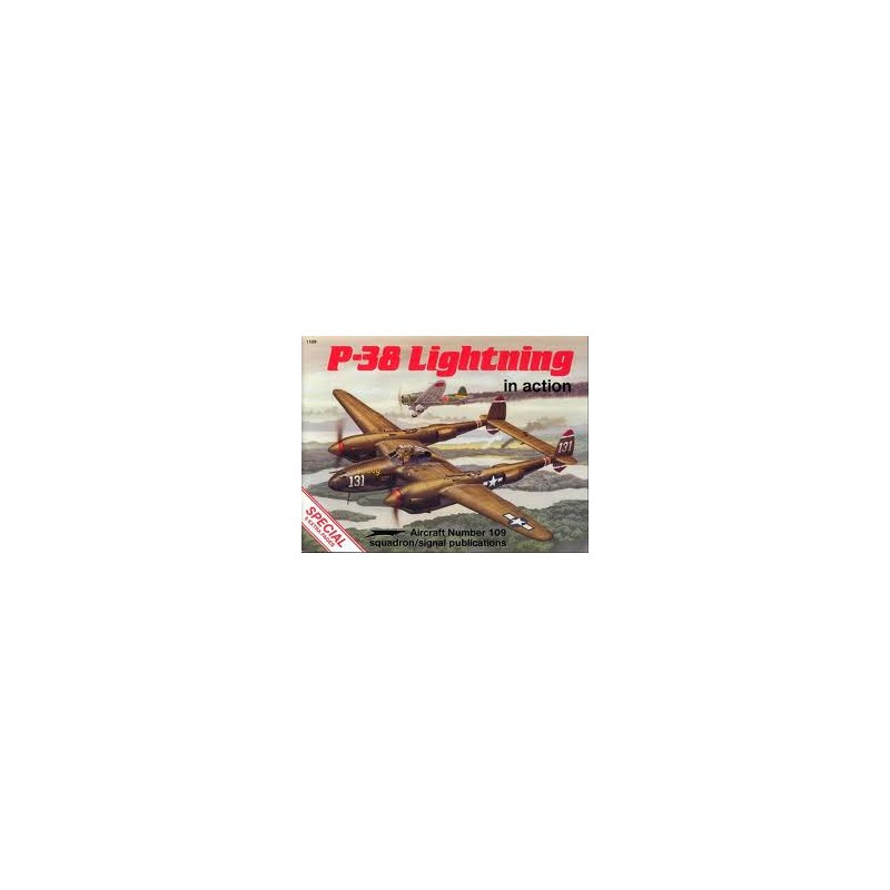 P38 LIGHTNIKS