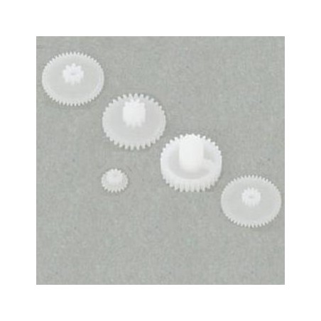 PIÑONES NANO-S