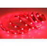 LED ROJOS 12V  1M  60L
