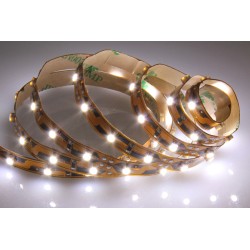 LED BLANCOS 12V  1M  60L