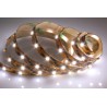 LED BLANCOS 12V  1M  60L