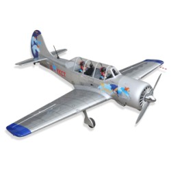 'AVION', 'YAK 52', 'ARF'