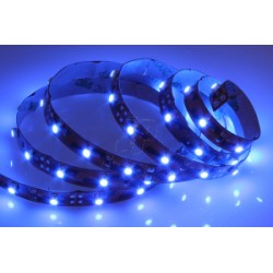 LED AZULES 12V 1M 60L