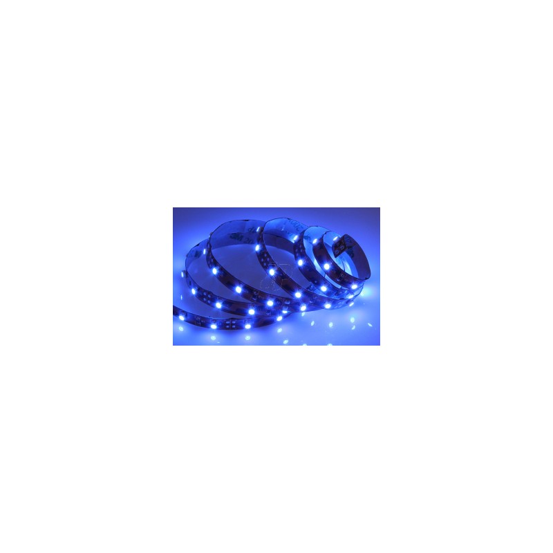 LED AZULES 12V 1M 60L