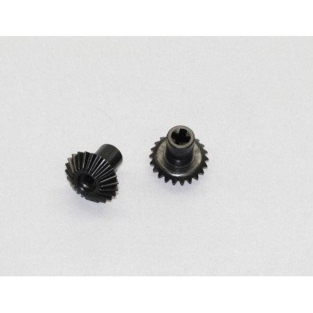 PIÑON COLA   T22 FOZA 700
