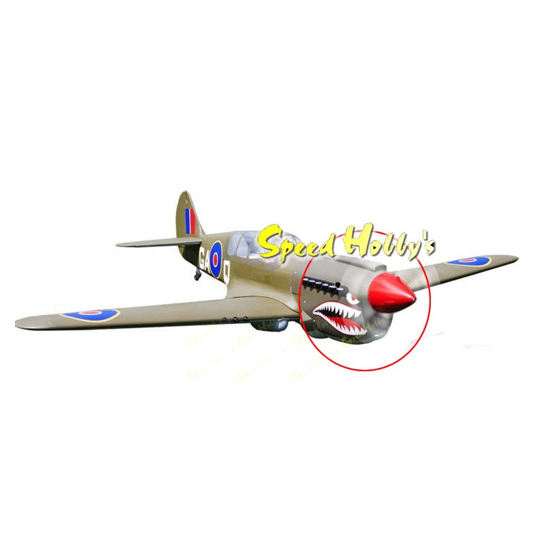 'Carena', 'P-40', 'Curtis', 'Seagull Models', 'cowling'