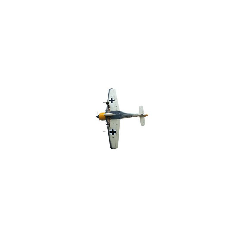 'SEAGULL MODELS', 'FOCKE-WULF FW190 ', 'AVION SEAGULL' ,'SEA257', 'SEAGULL', 'seagull models', 'seag