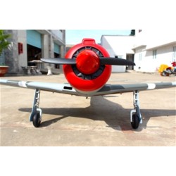 'SEAGULL MODLES','SEAGULL MODLES COMPRAR','COMRPAR SEAGULL MODELS','SEAGULL MODELS AVION YAK 3 U STE