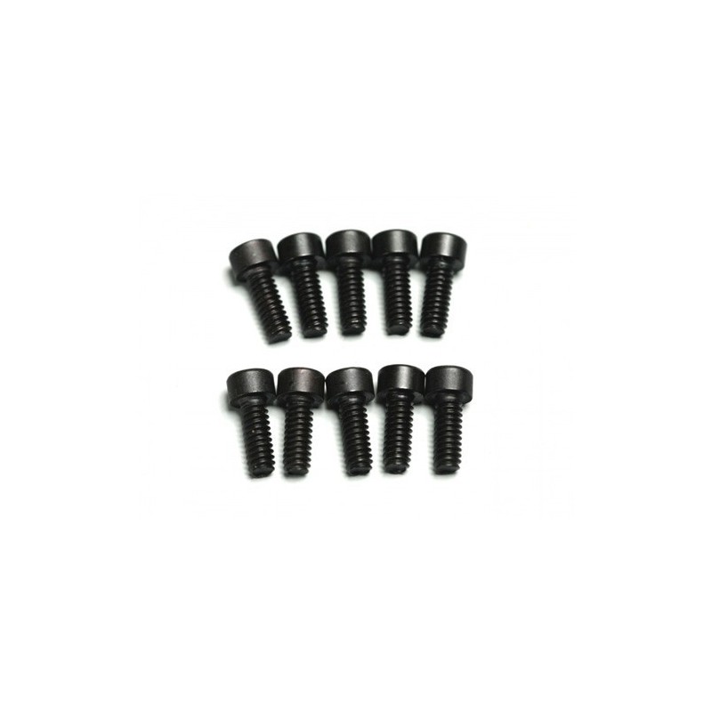 TORNILLOS M2,6X7 (10)