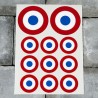 INSIGNIAS FRANCESA