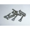TORNILLO M2 x10 (10Uni)