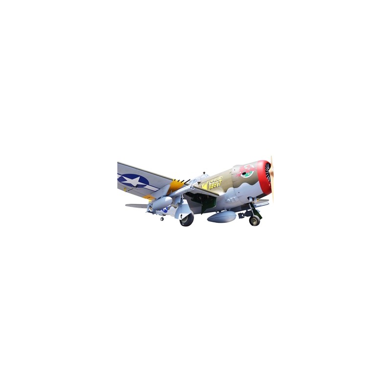 'SEAGULL MODELS', ' P-47 WICKED RABBIT', 'AVION SEAGULL' ,'SEA306', 'SEAGULL', 'seagull models', 'se
