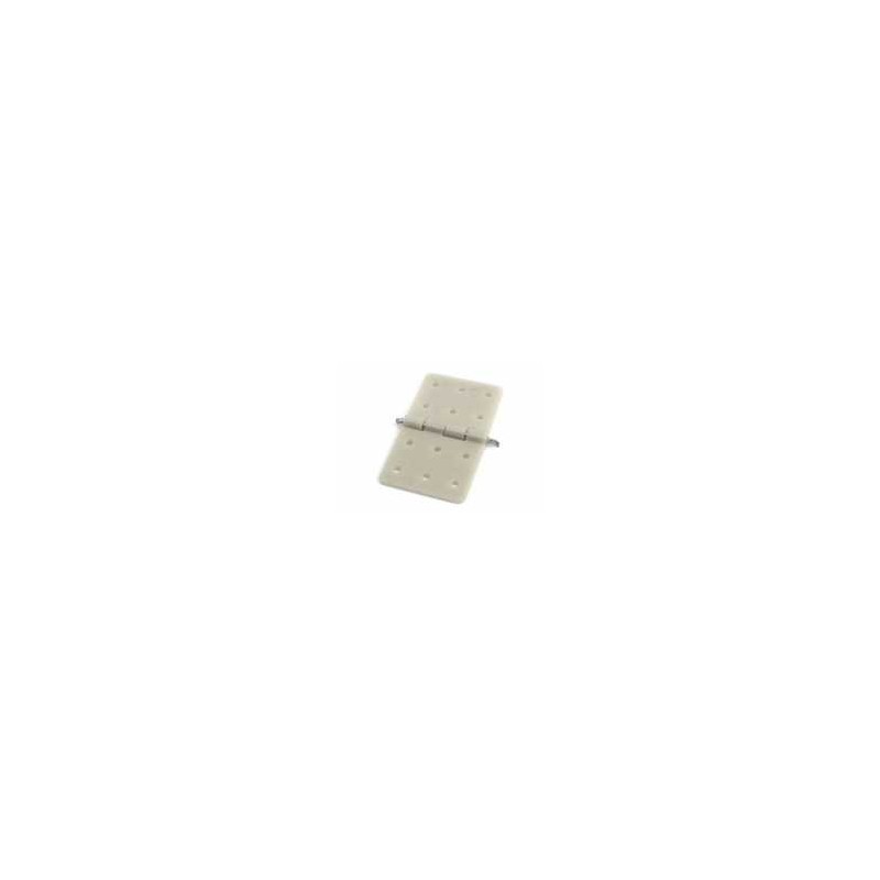 BISAGRAS MONTADAS 20x36mm