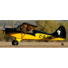 Seagull Models A-1C Christen Husky