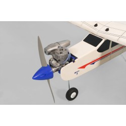 PARAGON 45-55 ENTRENADOR