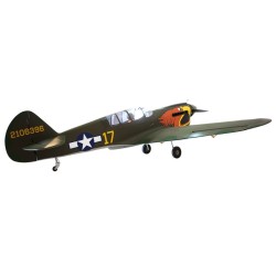 SEAGULL MODELS P-40 WARHAWK PARROTHEAD 50-60CC TREN ELECTRICO