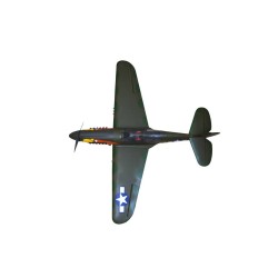 SEAGULL MODELS P-40 WARHAWK PARROTHEAD 50-60CC TREN ELECTRICO