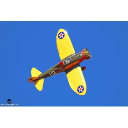 SEAGULL MODELS P-26A PEASHOOTER "PURSUIT SQUADRON"