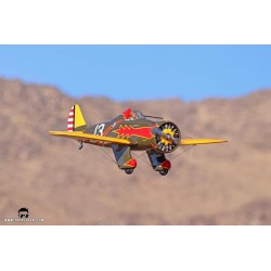 SEAGULL MODELS P-26A PEASHOOTER "PURSUIT SQUADRON"