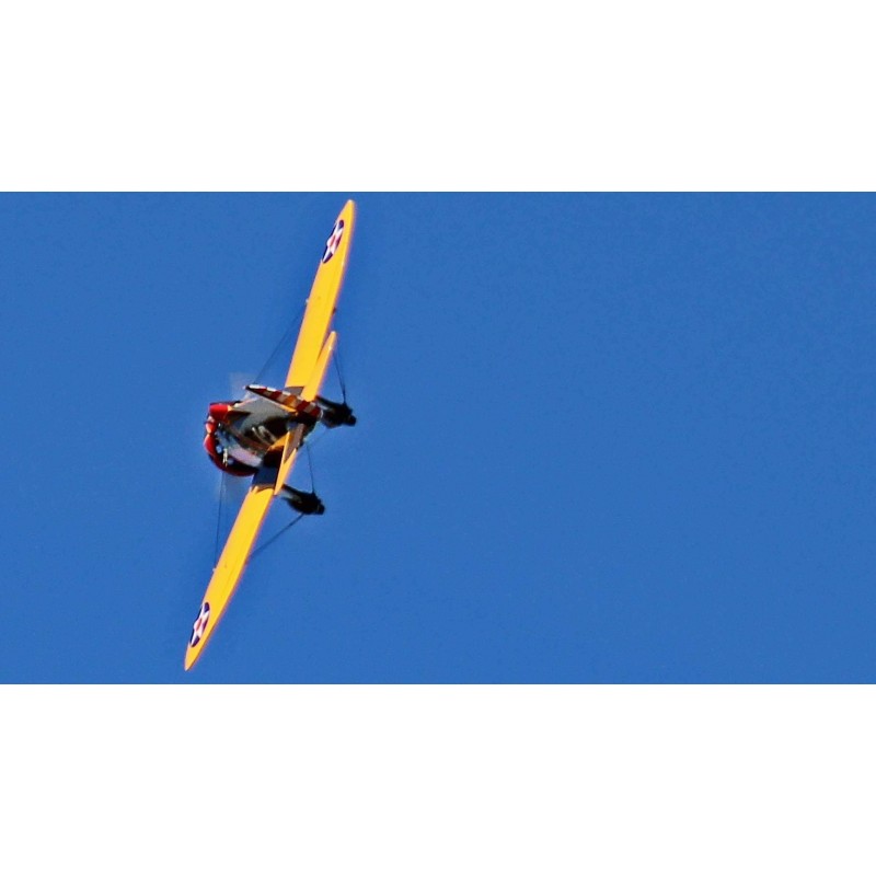 SEAGULL MODELS P-26A PEASHOOTER "PURSUIT SQUADRON"