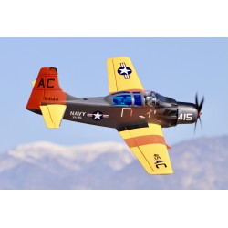 SEAGULL MODELS SKYRIDER AD-5/A-1E DRONE