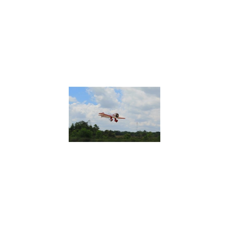 SEAGULL MODELS GILMORE RED LION 45-55CC