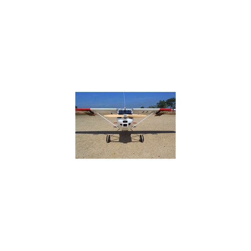 SEAGULL MODELS BIRD DOG "DEAD EYE" ESCALA GIGANTE 125CC