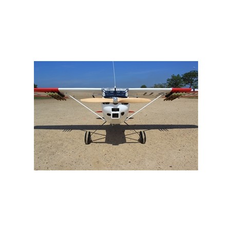 SEAGULL MODELS BIRD DOG "DEAD EYE" ESCALA GIGANTE 125CC