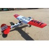 SEAGULL MODELS BIRD DOG "DEAD EYE" ESCALA GIGANTE 125CC