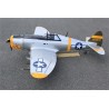 SEAGULL MODELS P-47 "DAN'I BOONE"