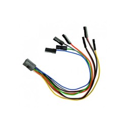 CABLE LOOM L150 ACP AXON, CORTEX PRO